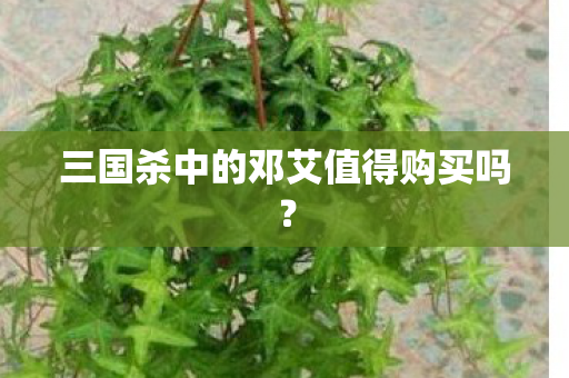 三国杀中的邓艾值得购买吗? 三国杀中的邓艾值得购买吗?