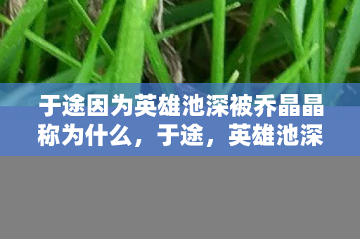 于途因为英雄池深被乔晶晶称为什么,于途,英雄池深,乔晶晶眼中的游戏奇才 于途因为英雄池深被乔晶晶称为什么,于途,英雄池深,乔晶晶眼中的游戏奇才