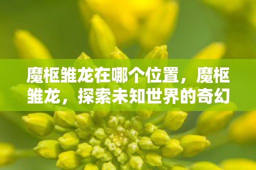 魔枢雏龙在哪个位置,魔枢雏龙,探索未知世界的奇幻之旅 魔枢雏龙在哪个位置,魔枢雏龙,探索未知世界的奇幻之旅