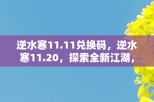逆水寒11.11兑换码，逆水寒11.20，探索全新江湖，体验升级