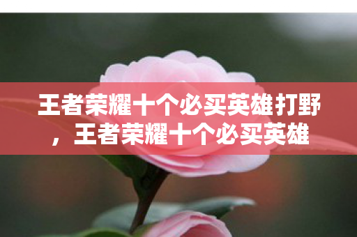 王者荣耀十个必买英雄打野,王者荣耀十个必买英雄 王者荣耀十个必买英雄打野,王者荣耀十个必买英雄