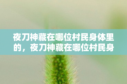 夜刀神藏在哪位村民身体里的,夜刀神藏在哪位村民身体里 夜刀神藏在哪位村民身体里的,夜刀神藏在哪位村民身体里