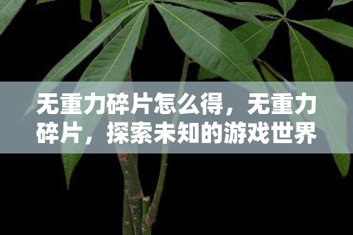 无重力碎片怎么得,无重力碎片,探索未知的游戏世界 无重力碎片怎么得,无重力碎片,探索未知的游戏世界