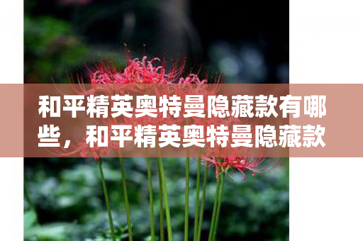 和平精英奥特曼隐藏款有哪些,和平精英奥特曼隐藏款,探索与发现的奇妙之旅 和平精英奥特曼隐藏款有哪些,和平精英奥特曼隐藏款,探索与发现的奇妙之旅