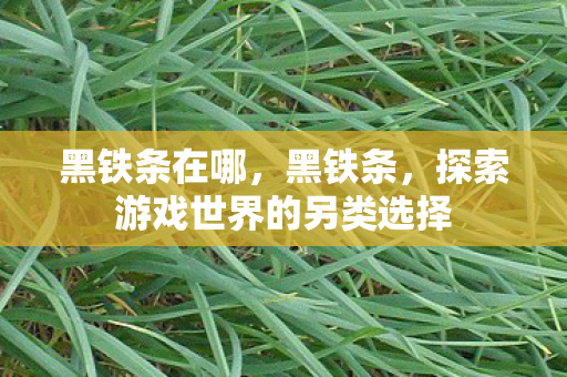 黑铁条在哪,黑铁条,探索游戏世界的另类选择 黑铁条在哪,黑铁条,探索游戏世界的另类选择