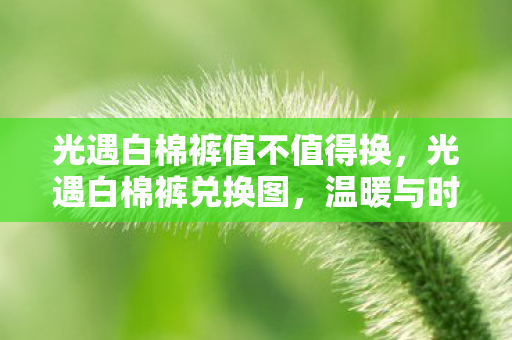 光遇白棉裤值不值得换，光遇白棉裤兑换图，温暖与时尚的完美融合