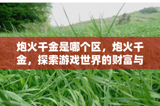 炮火千金是哪个区,炮火千金,探索游戏世界的财富与荣耀 炮火千金是哪个区,炮火千金,探索游戏世界的财富与荣耀
