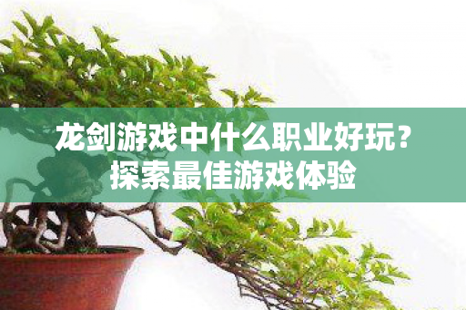 龙剑游戏中什么职业好玩？探索最佳游戏体验