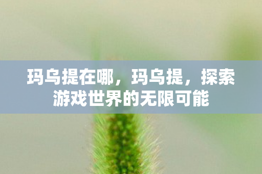 玛乌提在哪,玛乌提,探索游戏世界的无限可能 玛乌提在哪,玛乌提,探索游戏世界的无限可能