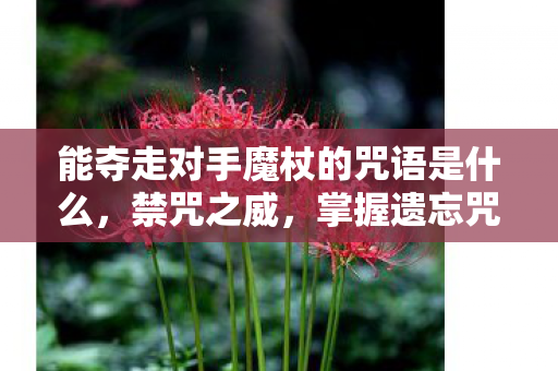 能夺走对手魔杖的咒语是什么,禁咒之威,掌握遗忘咒的奥秘 能夺走对手魔杖的咒语是什么,禁咒之威,掌握遗忘咒的奥秘