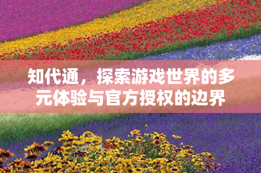 知代通,探索游戏世界的多元体验与官方授权的边界 知代通,探索游戏世界的多元体验与官方授权的边界