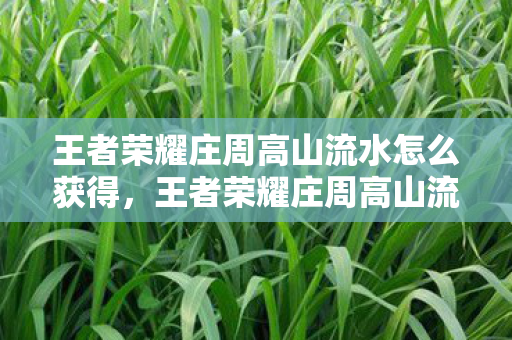 王者荣耀庄周高山流水怎么获得,王者荣耀庄周高山流水怎么获得 王者荣耀庄周高山流水怎么获得,王者荣耀庄周高山流水怎么获得
