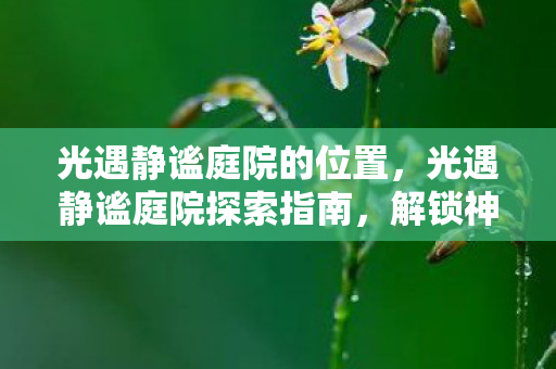 光遇静谧庭院的位置,光遇静谧庭院探索指南,解锁神秘之地的秘密 光遇静谧庭院的位置,光遇静谧庭院探索指南,解锁神秘之地的秘密