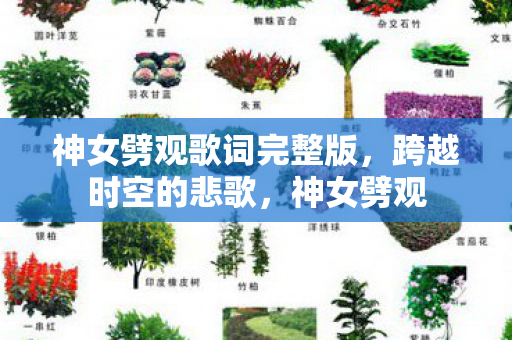 神女劈观歌词完整版,跨越时空的悲歌,神女劈观 神女劈观歌词完整版,跨越时空的悲歌,神女劈观