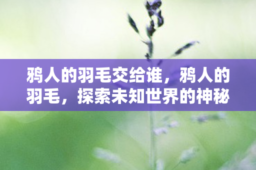 鸦人的羽毛交给谁,鸦人的羽毛,探索未知世界的神秘符号 鸦人的羽毛交给谁,鸦人的羽毛,探索未知世界的神秘符号
