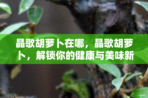 晶歌胡萝卜在哪,晶歌胡萝卜,解锁你的健康与美味新选择 晶歌胡萝卜在哪,晶歌胡萝卜,解锁你的健康与美味新选择