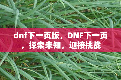 dnf下一页版，DNF下一页，探索未知，迎接挑战