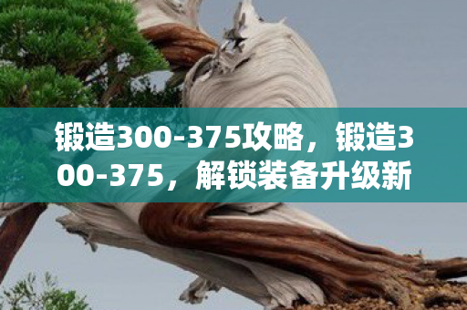锻造300-375攻略,锻造300-375,解锁装备升级新境界 锻造300-375攻略,锻造300-375,解锁装备升级新境界
