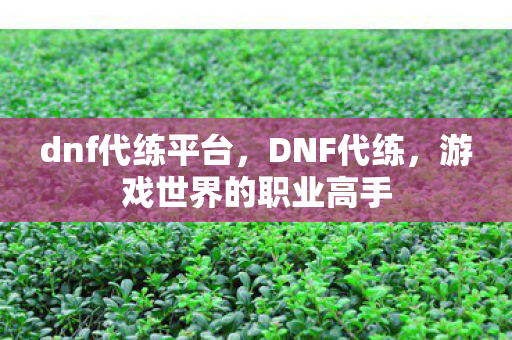 dnf代练平台,DNF代练,游戏世界的职业高手 dnf代练平台,DNF代练,游戏世界的职业高手