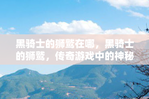 黑骑士的狮鹫在哪，黑骑士的狮鹫，传奇游戏中的神秘生物
