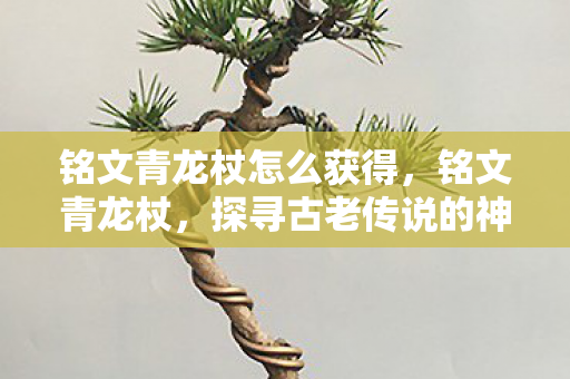 铭文青龙杖怎么获得,铭文青龙杖,探寻古老传说的神秘力量 铭文青龙杖怎么获得,铭文青龙杖,探寻古老传说的神秘力量