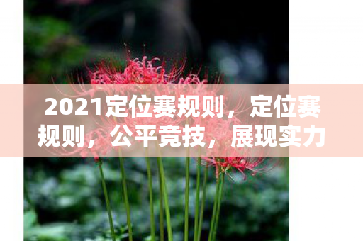 2021定位赛规则,定位赛规则,公平竞技,展现实力 2021定位赛规则,定位赛规则,公平竞技,展现实力