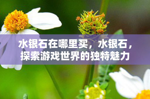 水银石在哪里买,水银石,探索游戏世界的独特魅力 水银石在哪里买,水银石,探索游戏世界的独特魅力