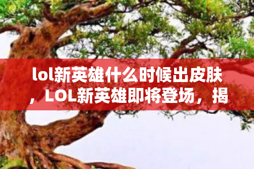 lol新英雄什么时候出皮肤，LOL新英雄即将登场，揭秘新英雄发布时间与背景故事