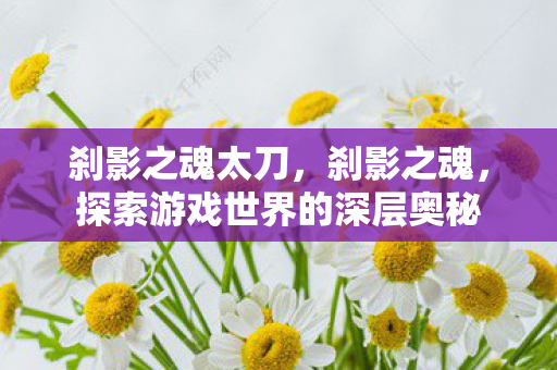 刹影之魂太刀,刹影之魂,探索游戏世界的深层奥秘 刹影之魂太刀,刹影之魂,探索游戏世界的深层奥秘