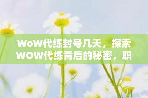 WoW代练封号几天,探索WOW代练背后的秘密,职业玩家的生存之道 WoW代练封号几天,探索WOW代练背后的秘密,职业玩家的生存之道
