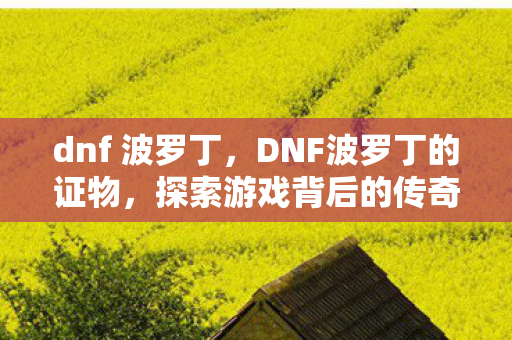 dnf 波罗丁，DNF波罗丁的证物，探索游戏背后的传奇故事
