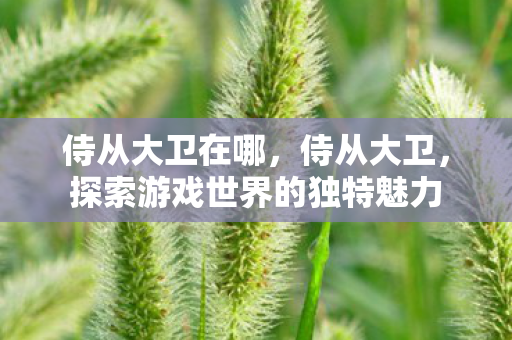 侍从大卫在哪，侍从大卫，探索游戏世界的独特魅力