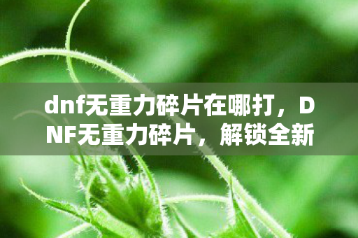dnf无重力碎片在哪打,DNF无重力碎片,解锁全新冒险的钥匙 dnf无重力碎片在哪打,DNF无重力碎片,解锁全新冒险的钥匙