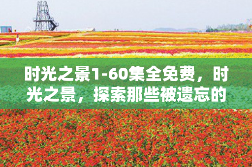 时光之景1-60集全免费,时光之景,探索那些被遗忘的古老游戏场景 时光之景1-60集全免费,时光之景,探索那些被遗忘的古老游戏场景