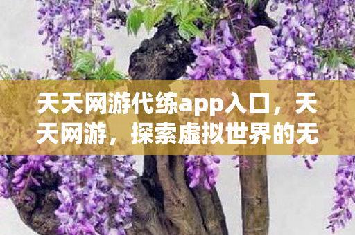 天天网游代练app入口,天天网游,探索虚拟世界的无限可能 天天网游代练app入口,天天网游,探索虚拟世界的无限可能