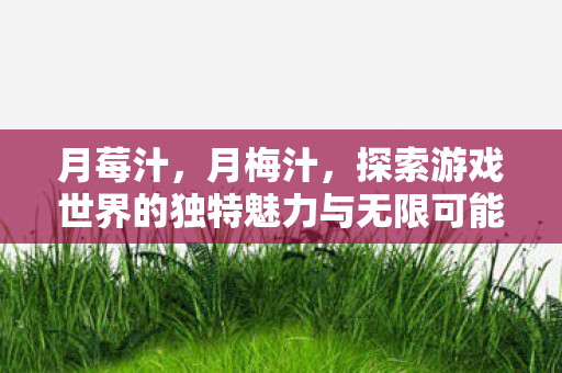 月莓汁，月梅汁，探索游戏世界的独特魅力与无限可能