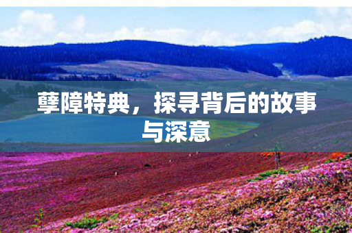 孽障特典,探寻背后的故事与深意 孽障特典,探寻背后的故事与深意