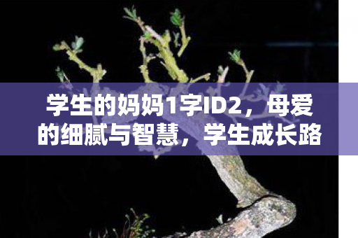 学生的妈妈1字ID2,母爱的细腻与智慧,学生成长路上的温暖陪伴 学生的妈妈1字ID2,母爱的细腻与智慧,学生成长路上的温暖陪伴