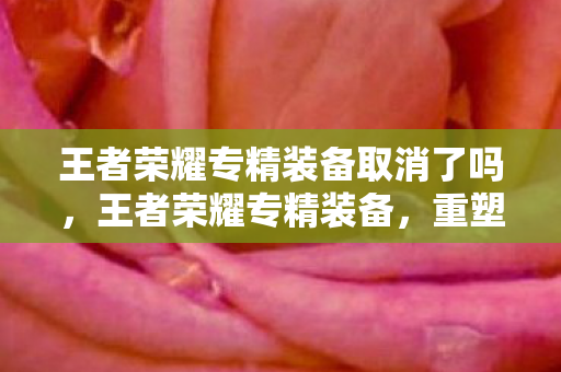 王者荣耀专精装备取消了吗,王者荣耀专精装备,重塑英雄,开启全新战场 王者荣耀专精装备取消了吗,王者荣耀专精装备,重塑英雄,开启全新战场