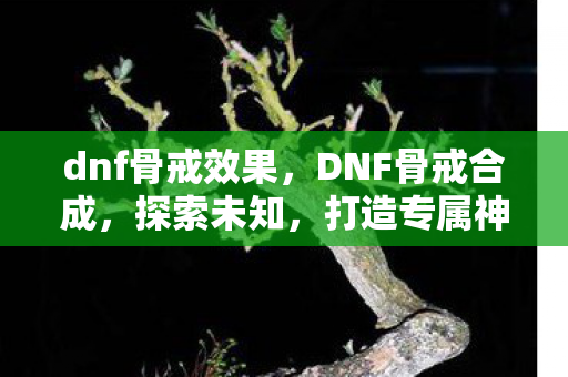 dnf骨戒效果，DNF骨戒合成，探索未知，打造专属神器