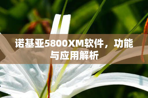 诺基亚5800XM软件，功能与应用解析