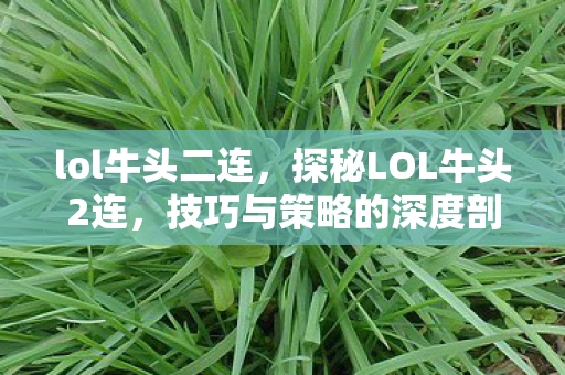 lol牛头二连，探秘LOL牛头2连，技巧与策略的深度剖析