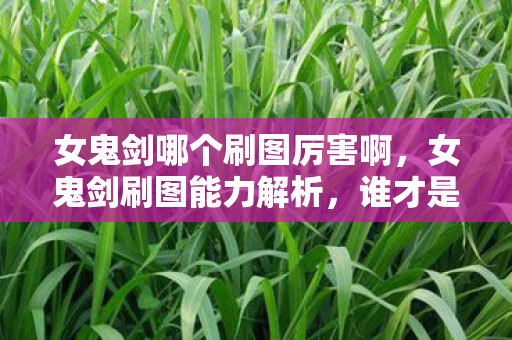 女鬼剑哪个刷图厉害啊,女鬼剑刷图能力解析,谁才是王者? 女鬼剑哪个刷图厉害啊,女鬼剑刷图能力解析,谁才是王者?