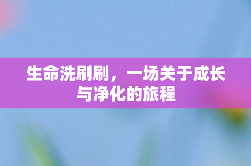 生命洗刷刷,一场关于成长与净化的旅程 生命洗刷刷,一场关于成长与净化的旅程