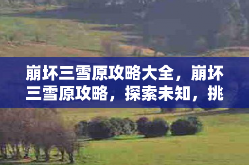 崩坏三雪原攻略大全,崩坏三雪原攻略,探索未知,挑战极限 崩坏三雪原攻略大全,崩坏三雪原攻略,探索未知,挑战极限
