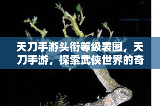天刀手游头衔等级表图,天刀手游,探索武侠世界的奇妙之旅 天刀手游头衔等级表图,天刀手游,探索武侠世界的奇妙之旅