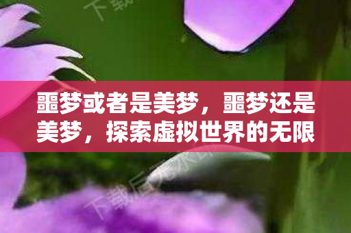 噩梦或者是美梦,噩梦还是美梦,探索虚拟世界的无限可能 噩梦或者是美梦,噩梦还是美梦,探索虚拟世界的无限可能