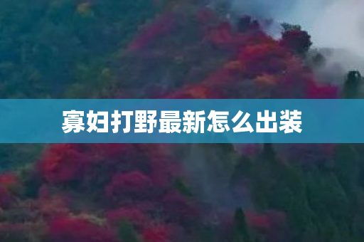 寡妇打野最新怎么出装 寡妇打野最新怎么出装