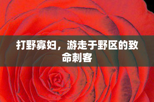 打野寡妇，游走于野区的致命刺客