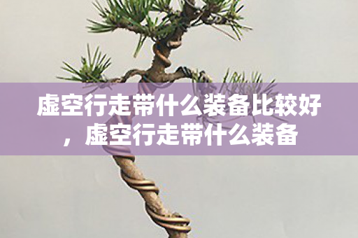 虚空行走带什么装备比较好，虚空行走带什么装备